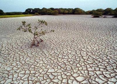 400 دشت کشور در زمینه برداشت آب ممنوعه اعلام شد